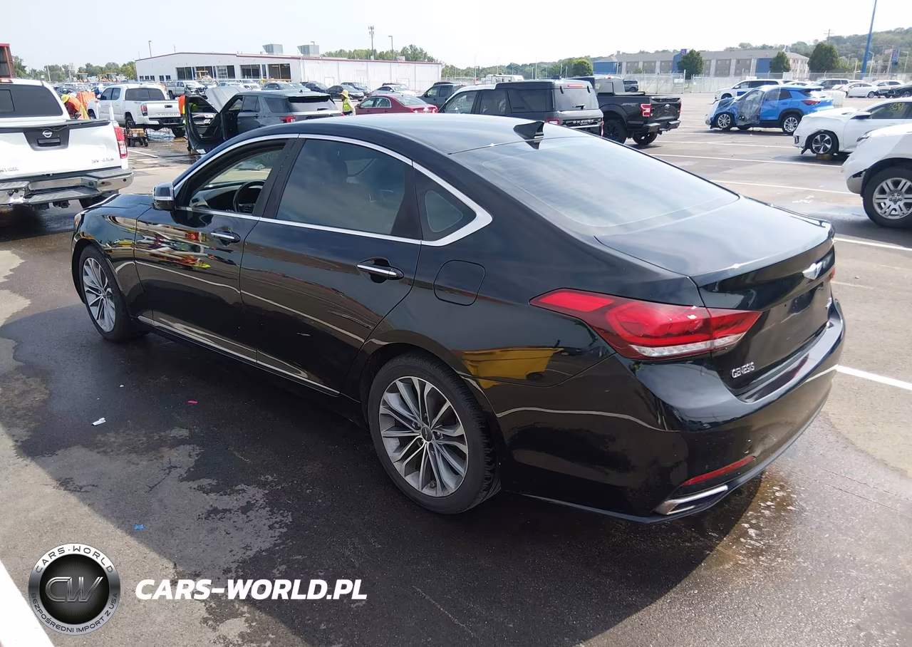 2016 Hyundai Genesis 3.8 VIN:KMHGN4JE6GU107828 - 3