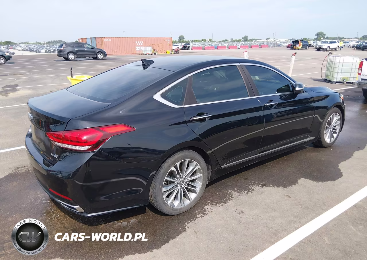 2016 Hyundai Genesis 3.8 VIN:KMHGN4JE6GU107828 - 4