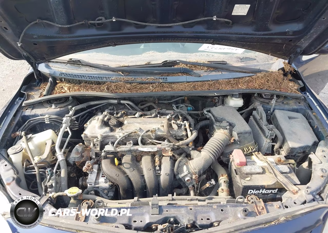 2013 Toyota Corolla Le VIN:5YFBU4EE9DP150936 - 10