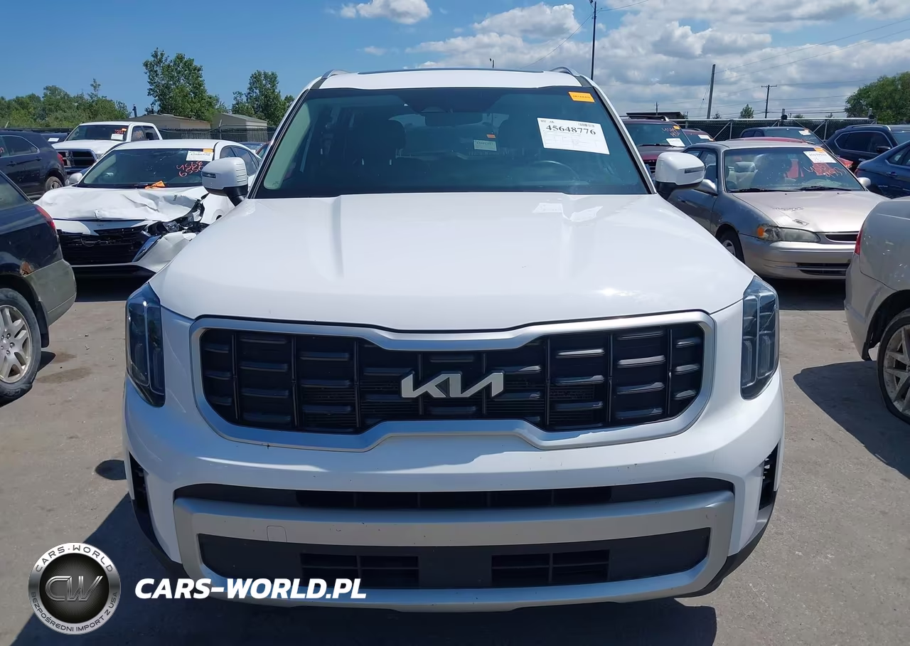 2025 Kia Telluride S VIN:5XYP6DGC2SG610855 - 12