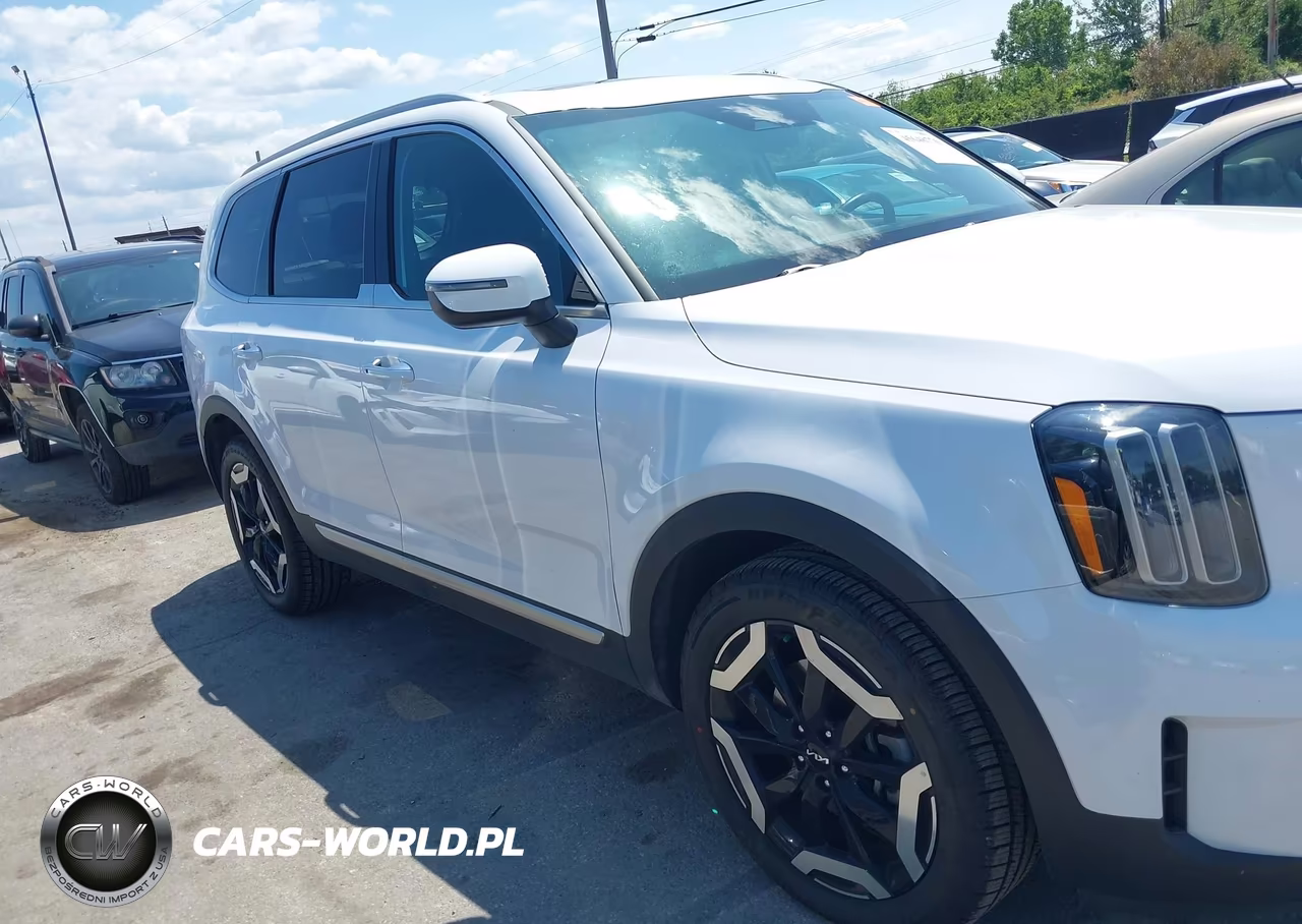 2025 Kia Telluride S VIN:5XYP6DGC2SG610855 - 13