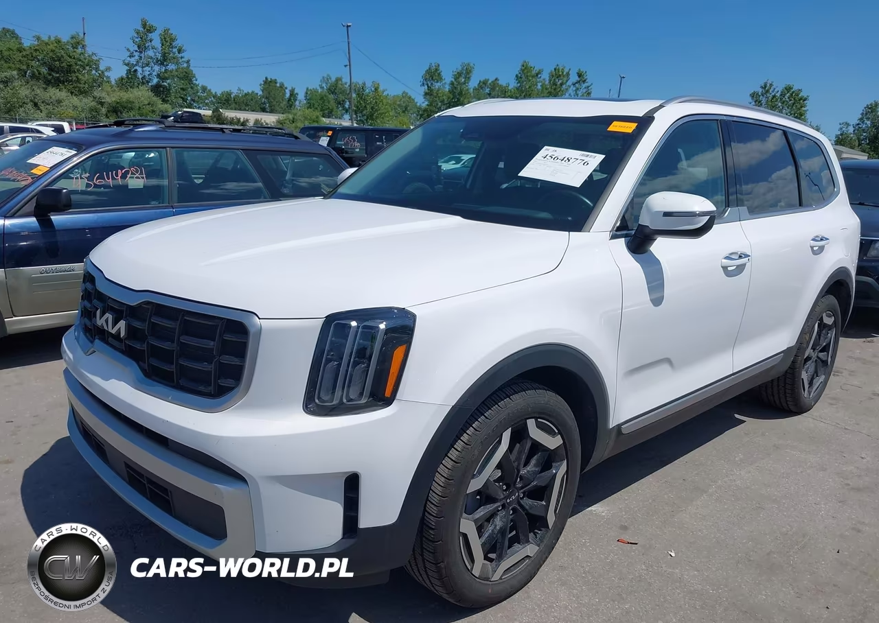 2025 Kia Telluride S VIN:5XYP6DGC2SG610855 - 2