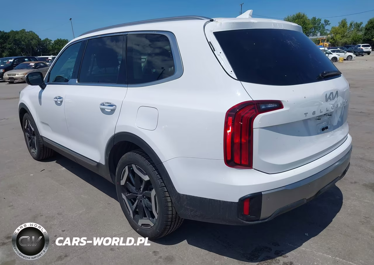 2025 Kia Telluride S VIN:5XYP6DGC2SG610855 - 3