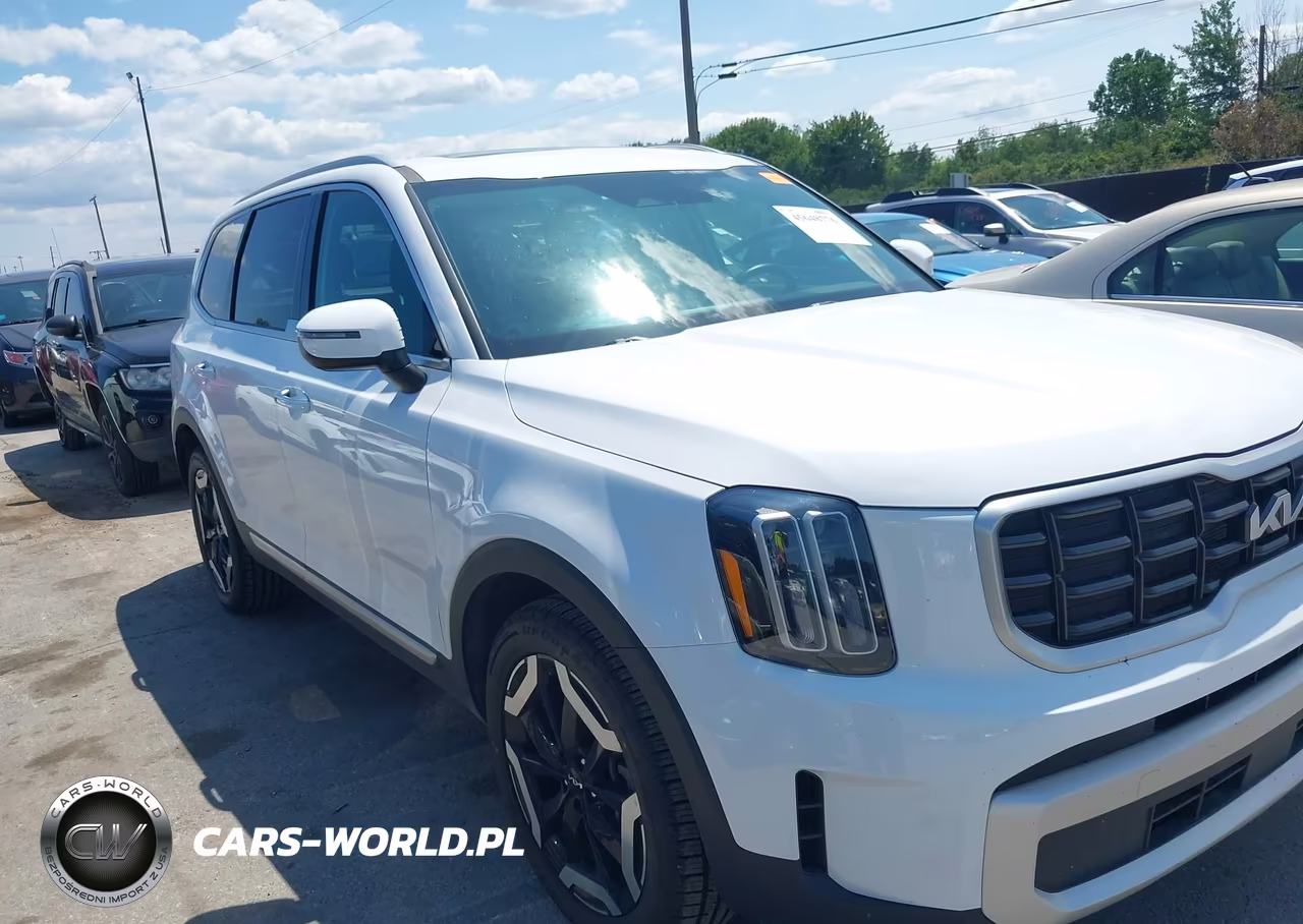 2025 Kia Telluride S VIN:5XYP6DGC2SG610855 - 6