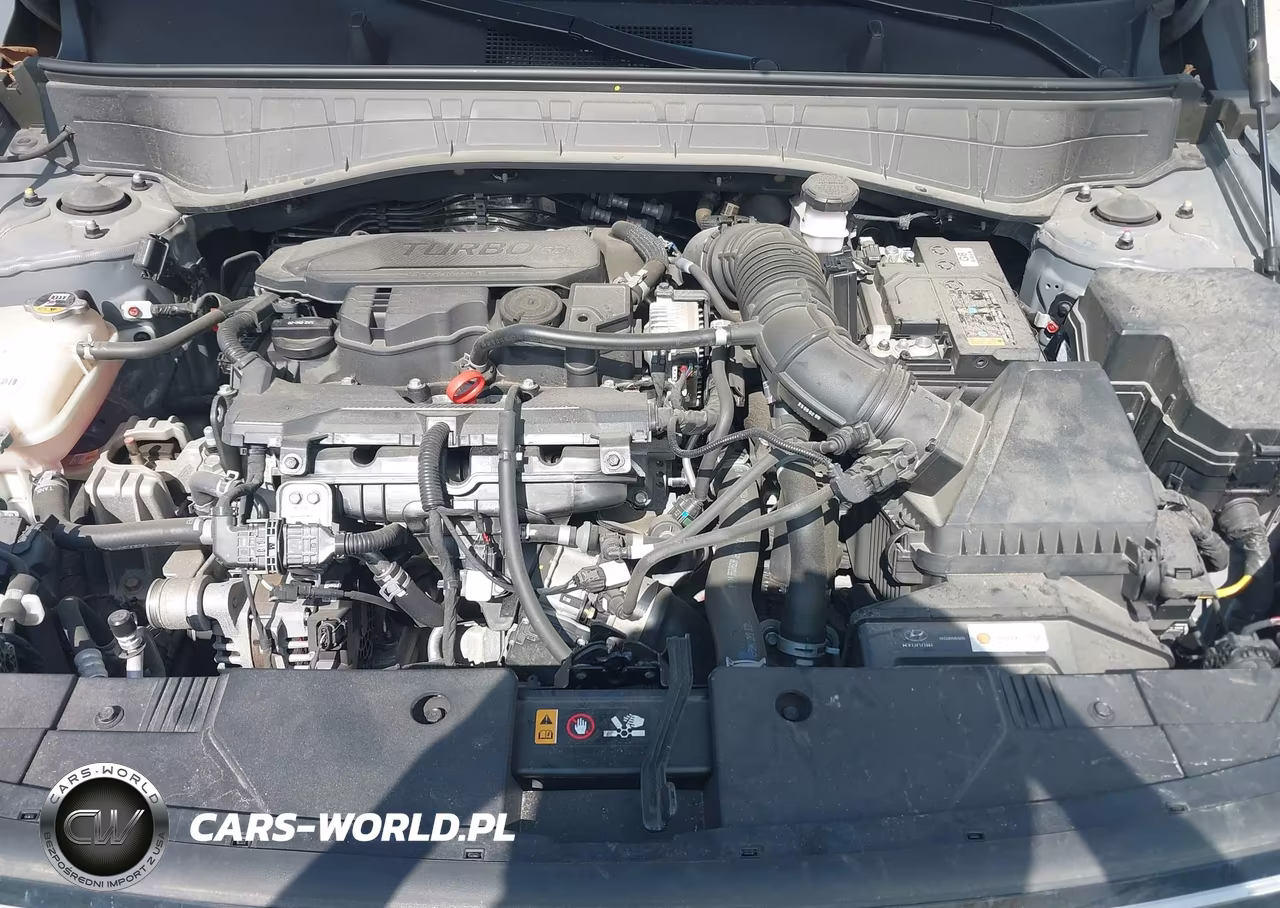 2024 Hyundai Kona Limited VIN:KM8HECA31RU057596 - 10