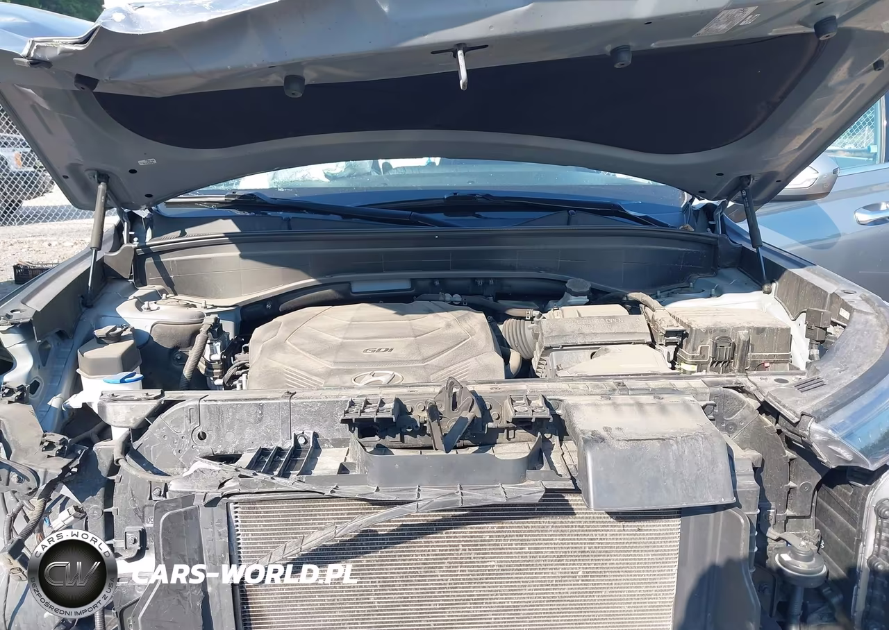 2020 Hyundai Palisade Sel VIN:KM8R4DHE9LU105146 - 10