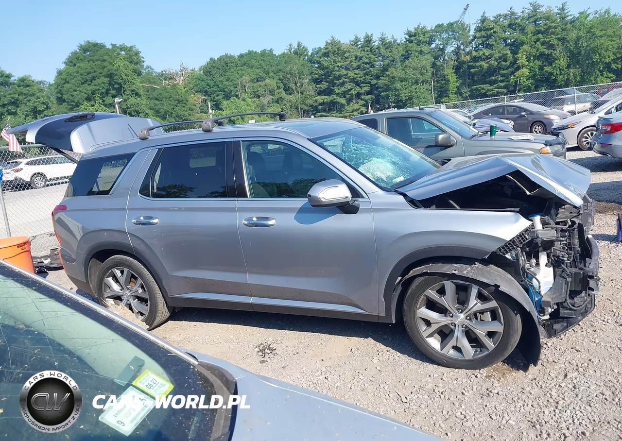 2020 Hyundai Palisade Sel VIN:KM8R4DHE9LU105146 - 13