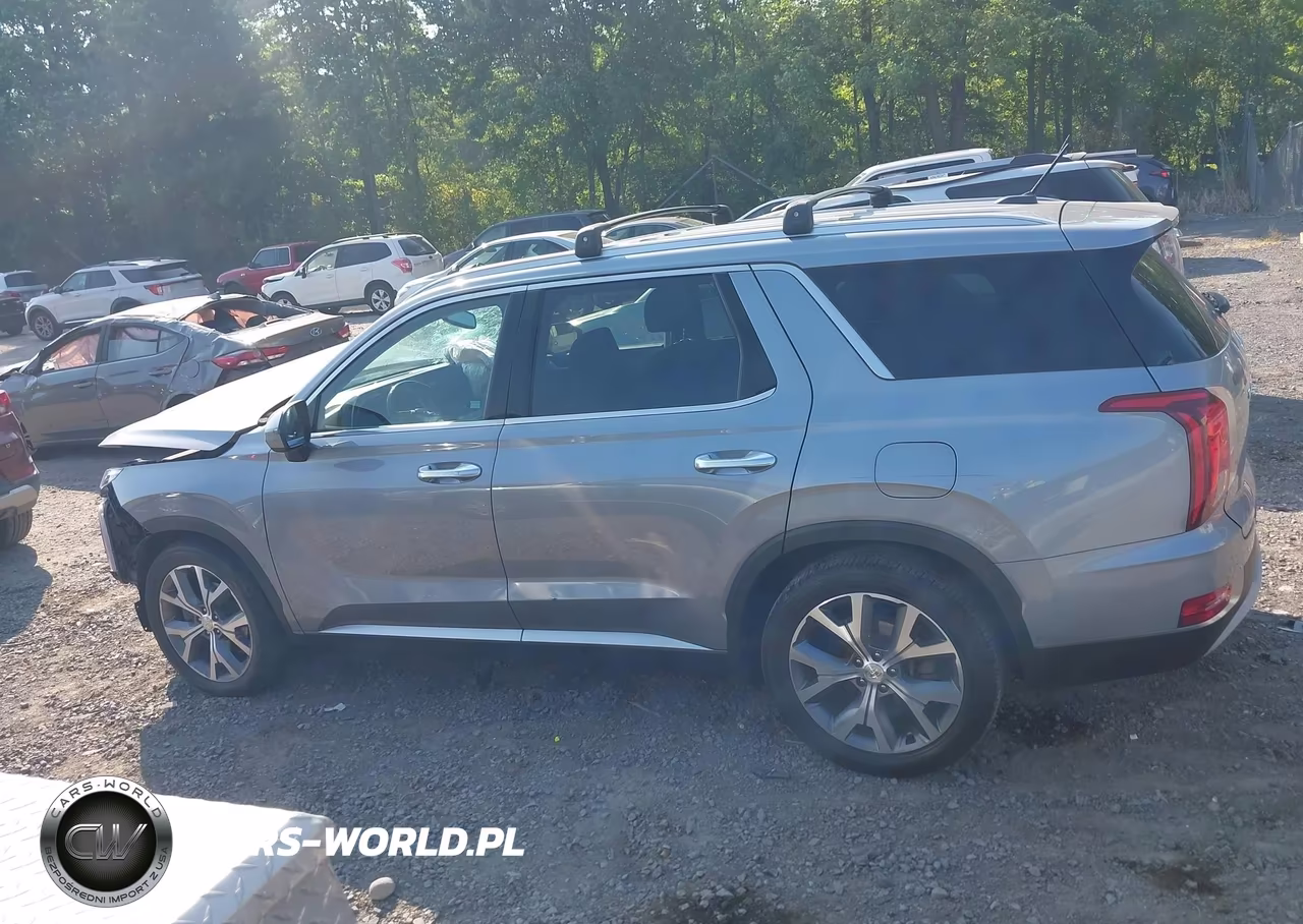 2020 Hyundai Palisade Sel VIN:KM8R4DHE9LU105146 - 14