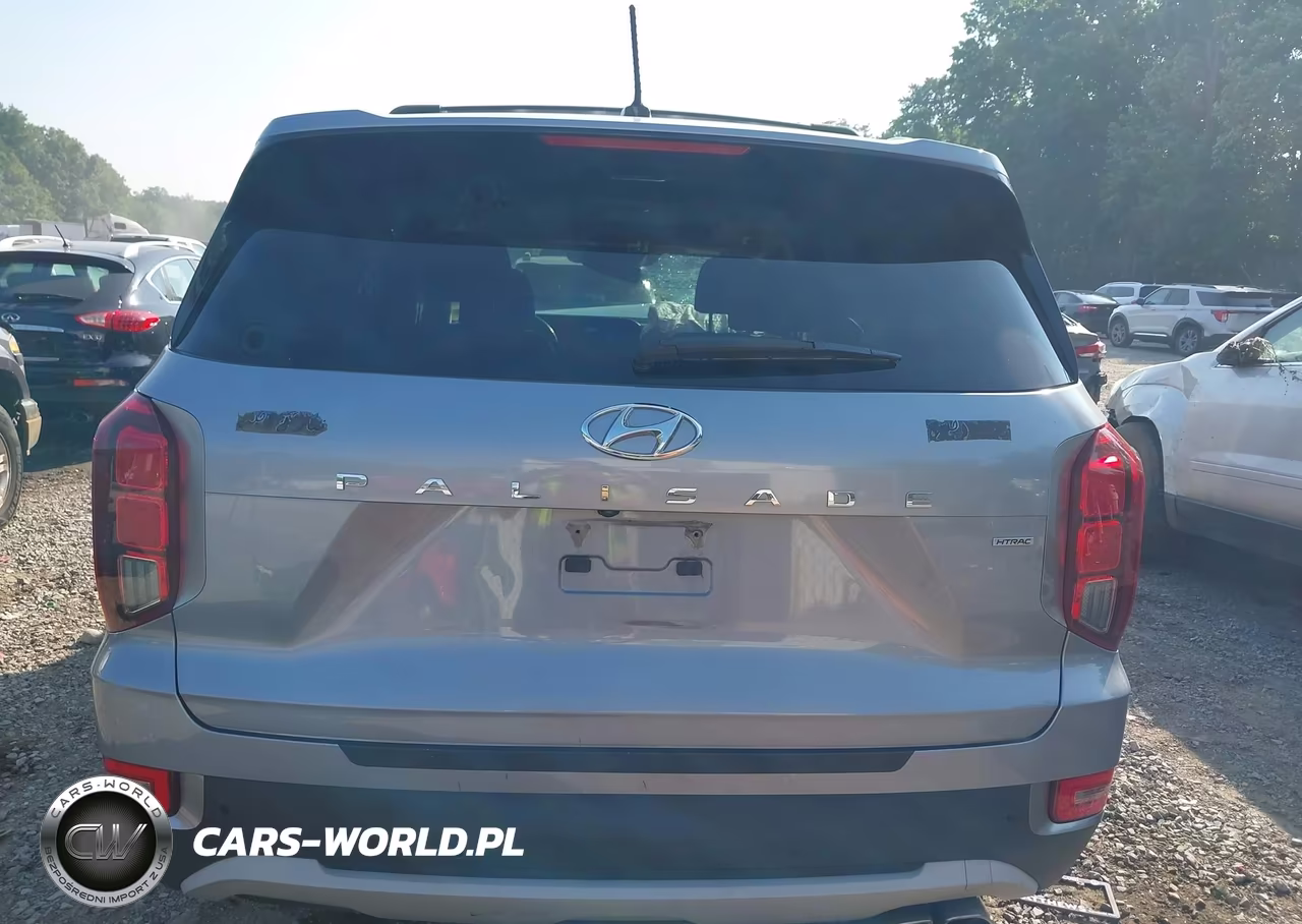 2020 Hyundai Palisade Sel VIN:KM8R4DHE9LU105146 - 16