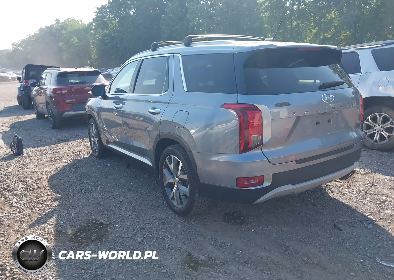 2020 Hyundai Palisade Sel VIN:KM8R4DHE9LU105146 - 3