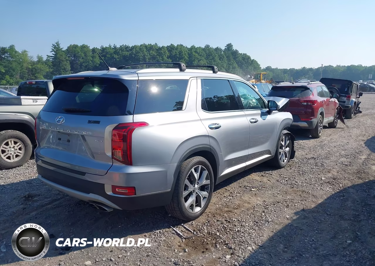 2020 Hyundai Palisade Sel VIN:KM8R4DHE9LU105146 - 4