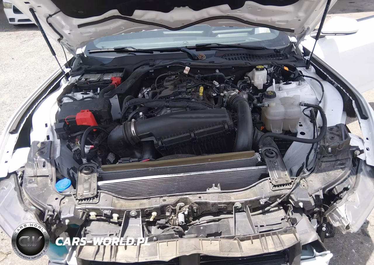 2025 Ford Mustang Ecoboost Fastback VIN:1FA6P8THXS5100947 - 10