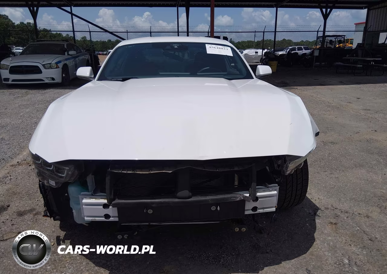 2025 Ford Mustang Ecoboost Fastback VIN:1FA6P8THXS5100947 - 13