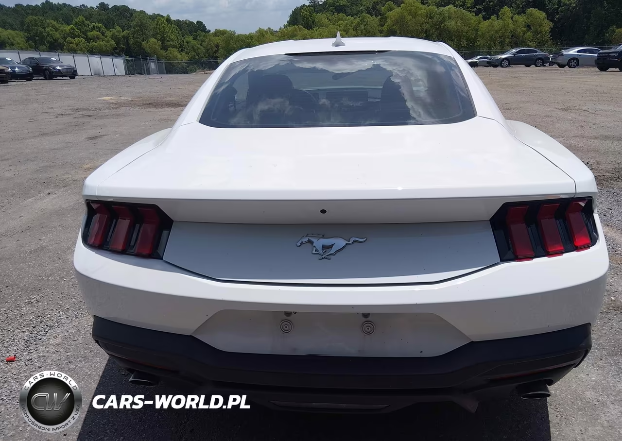 2025 Ford Mustang Ecoboost Fastback VIN:1FA6P8THXS5100947 - 17