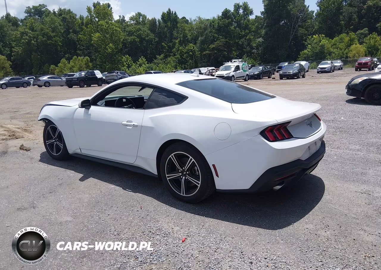 2025 Ford Mustang Ecoboost Fastback VIN:1FA6P8THXS5100947 - 3