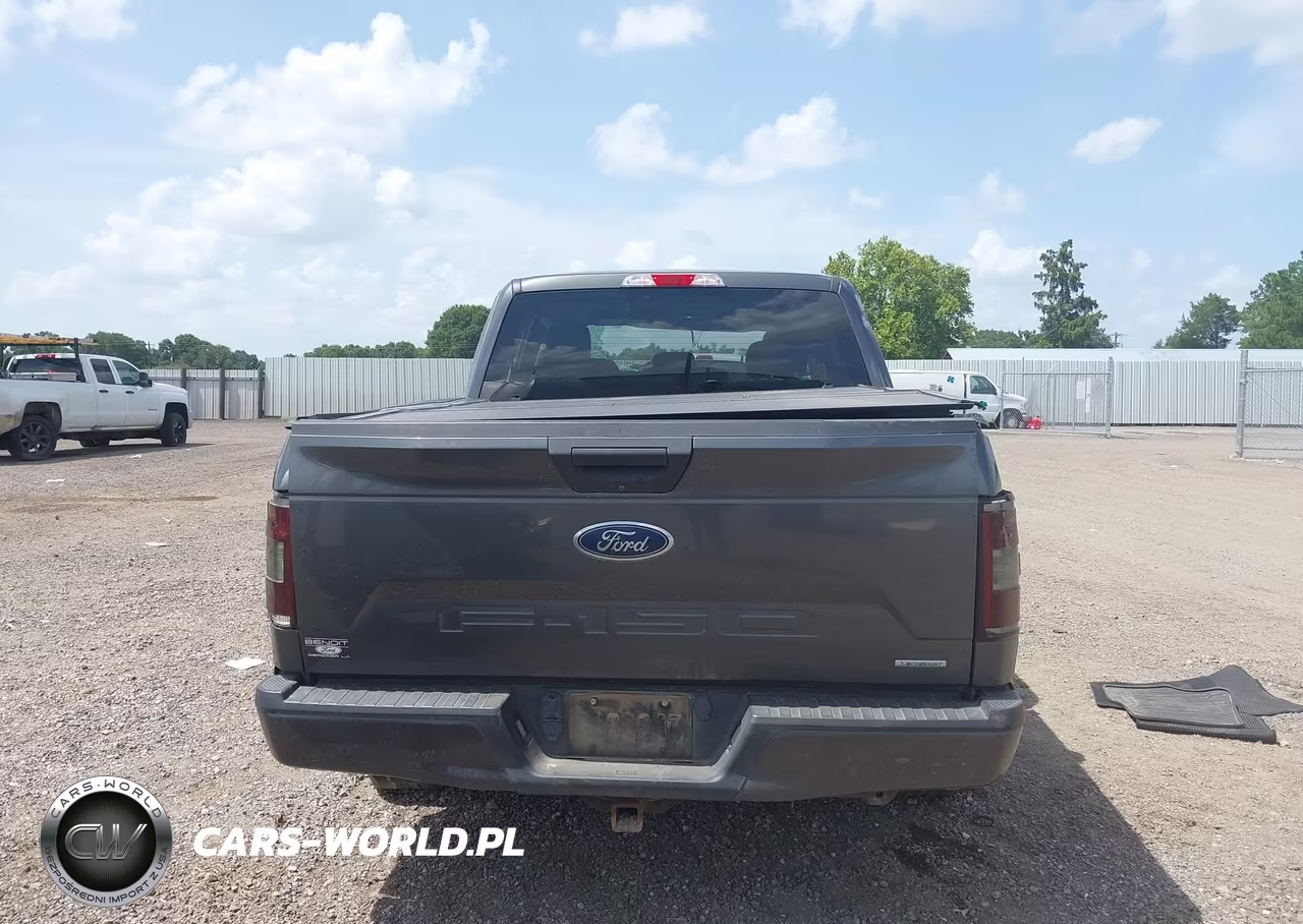 2020 Ford F-150 Xl VIN:1FTEW1CP9LKE84746 - 17