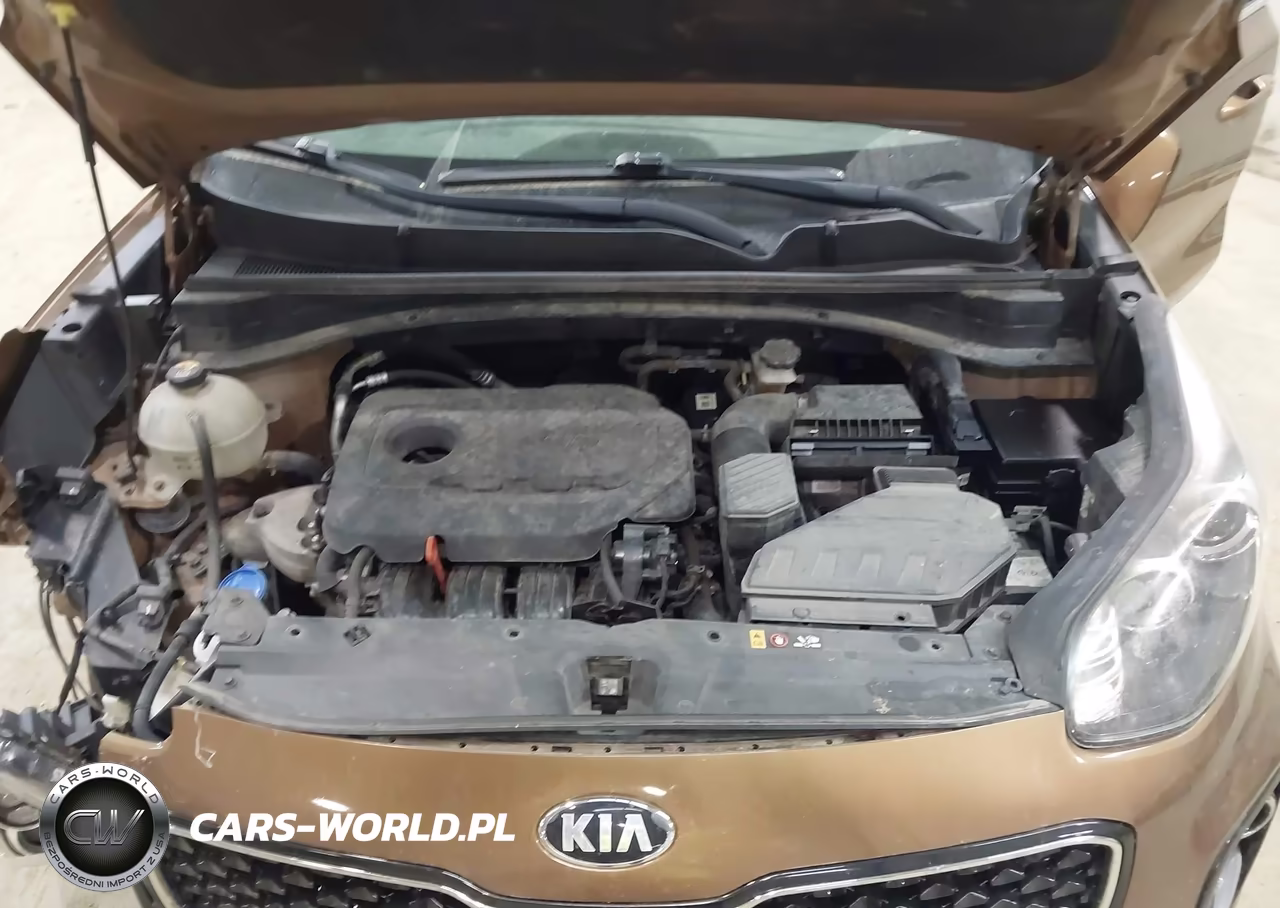 2017 Kia Sportage Lx VIN:KNDPMCAC4H7035916 - 10
