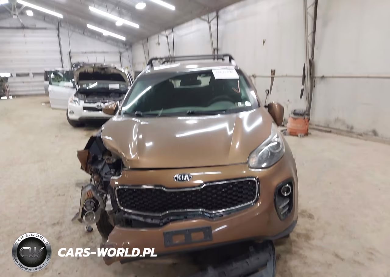2017 Kia Sportage Lx VIN:KNDPMCAC4H7035916 - 12