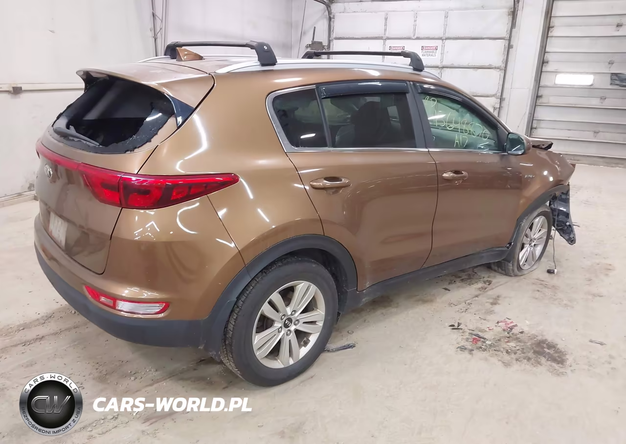 2017 Kia Sportage Lx VIN:KNDPMCAC4H7035916 - 4