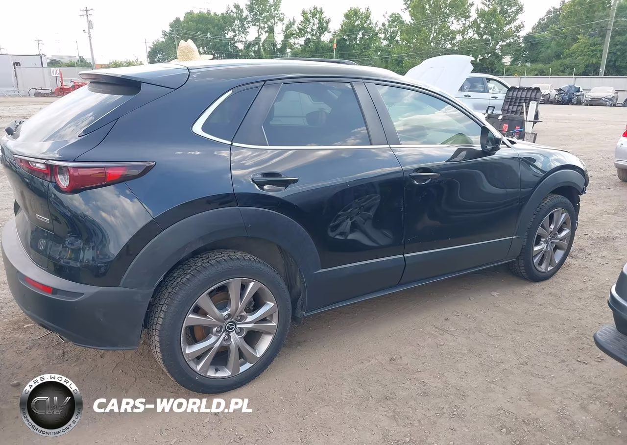 2020 Mazda Cx-30 Select Package VIN:3MVDMBCL2LM115514 - 4