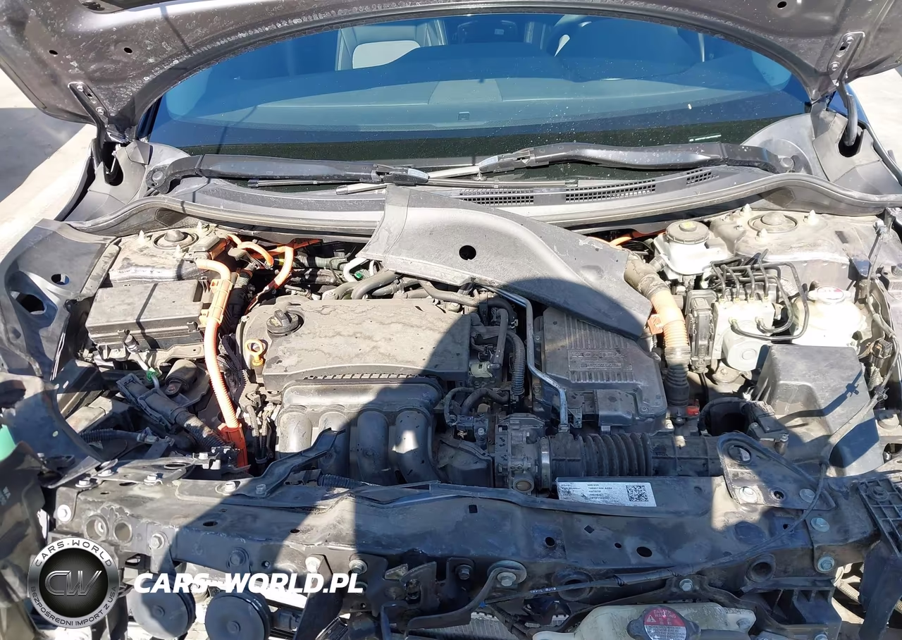 2019 Honda Clarity Plug-In Hybrid VIN:JHMZC5F16KC006820 - 10