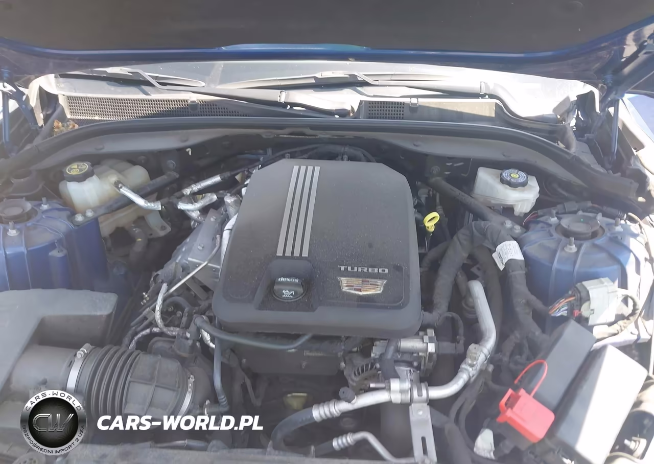 2023 Cadillac Ct5 Luxury VIN:1G6DW5RKXP0120788 - 10