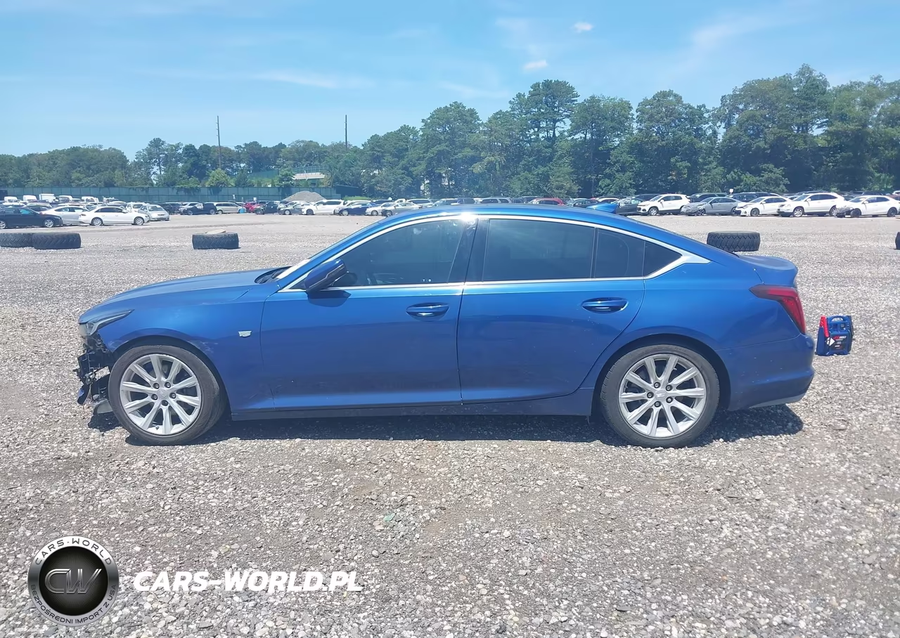 2023 Cadillac Ct5 Luxury VIN:1G6DW5RKXP0120788 - 13