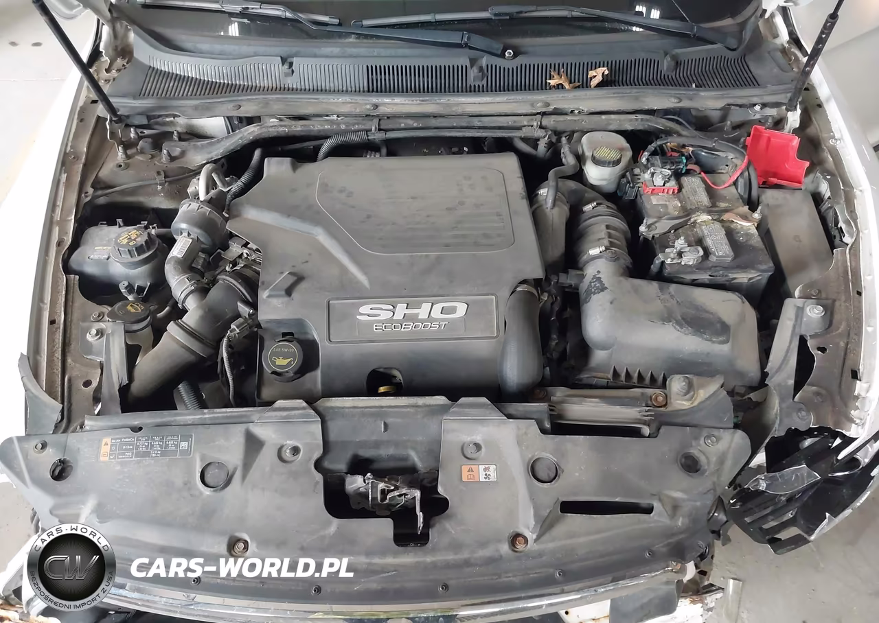 2016 Ford Taurus Sho VIN:1FAHP2KT5GG147066 - 10