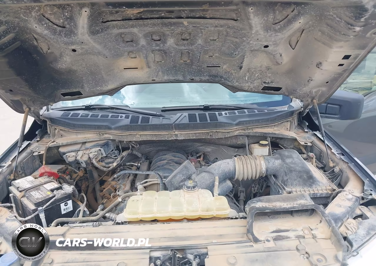2021 Ford F-150 Xl VIN:1FTFW1E5XMKD98699 - 10