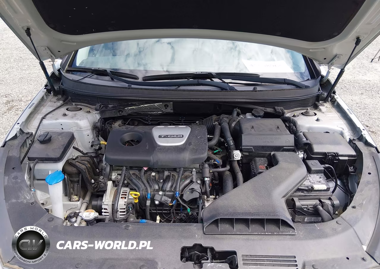 2019 Hyundai Sonata Eco VIN:5NPE24AA8KH803157 - 10