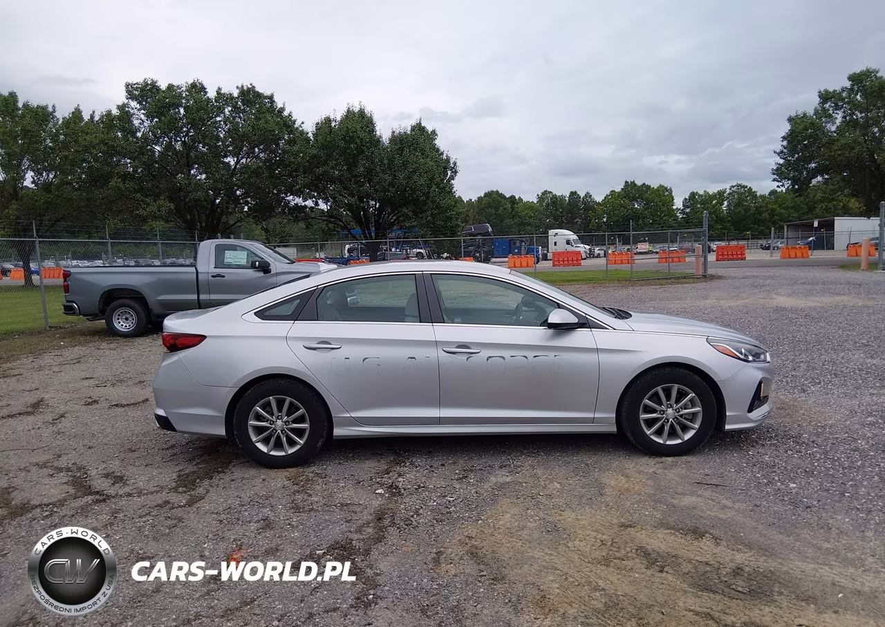 2019 Hyundai Sonata Eco VIN:5NPE24AA8KH803157 - 13