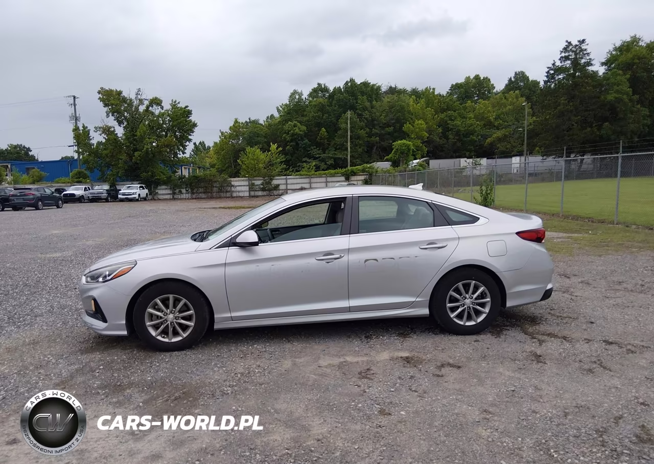 2019 Hyundai Sonata Eco VIN:5NPE24AA8KH803157 - 14
