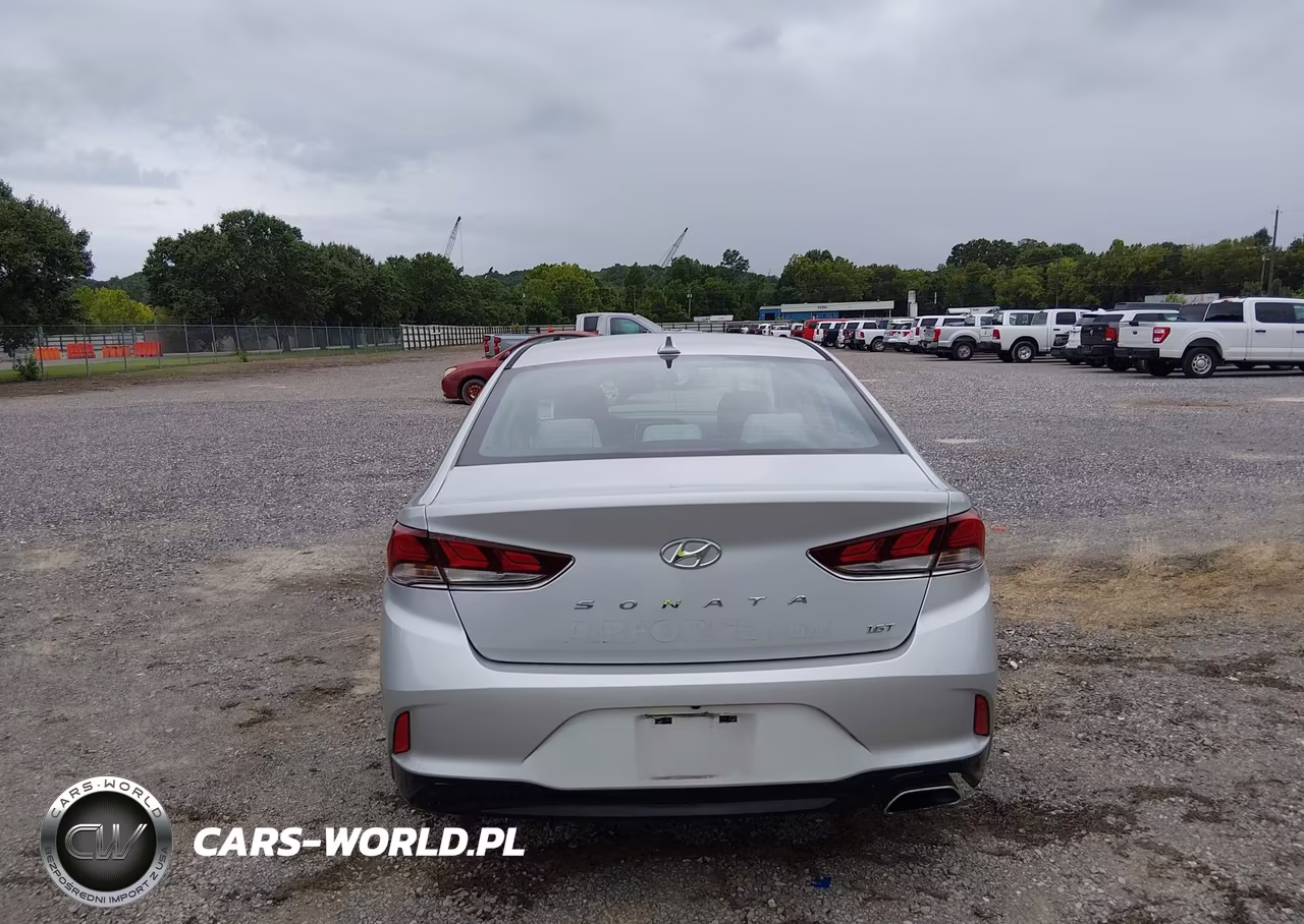 2019 Hyundai Sonata Eco VIN:5NPE24AA8KH803157 - 16