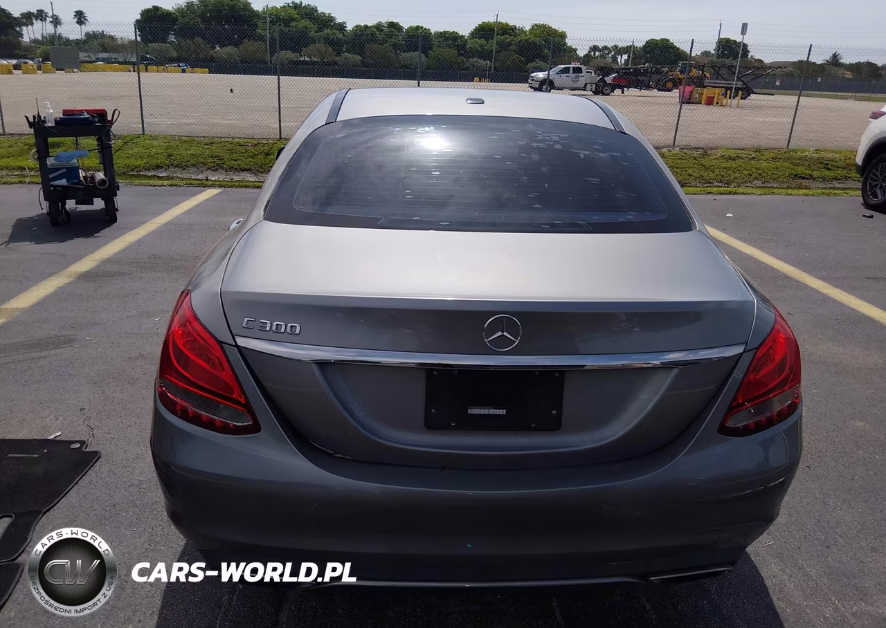 2015 Mercedes-Benz C 300 VIN:55SWF4JB0FU093224 - 17
