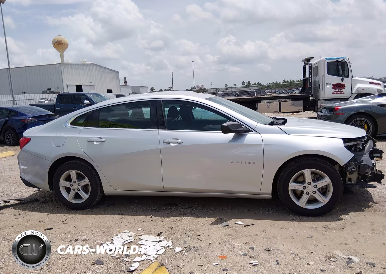 2019 Chevrolet Malibu 1Fl VIN:1G1ZC5ST2KF181629 - 14