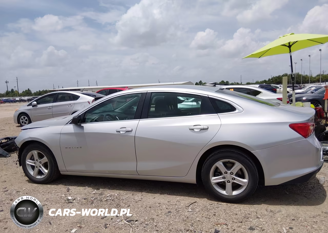 2019 Chevrolet Malibu 1Fl VIN:1G1ZC5ST2KF181629 - 15