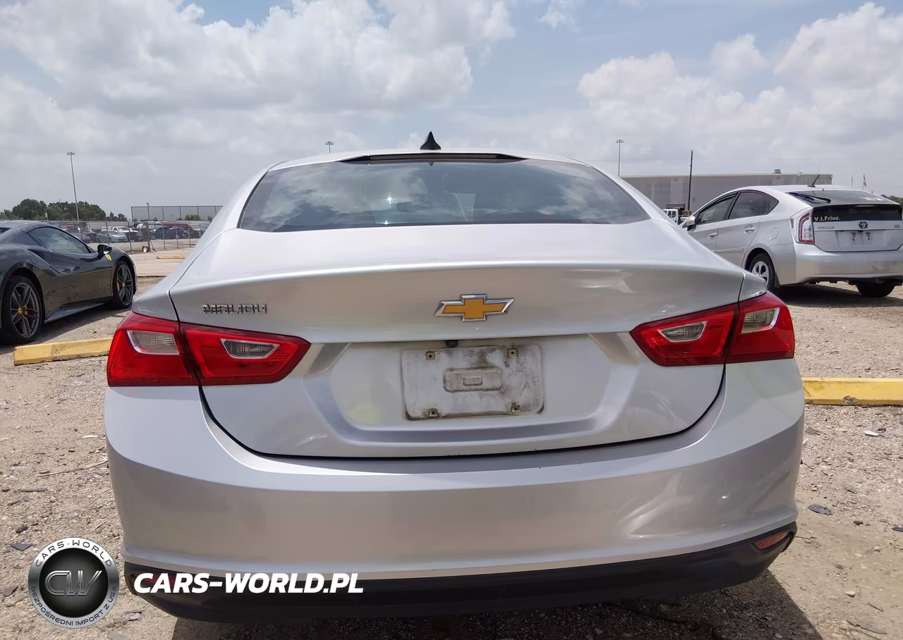 2019 Chevrolet Malibu 1Fl VIN:1G1ZC5ST2KF181629 - 17