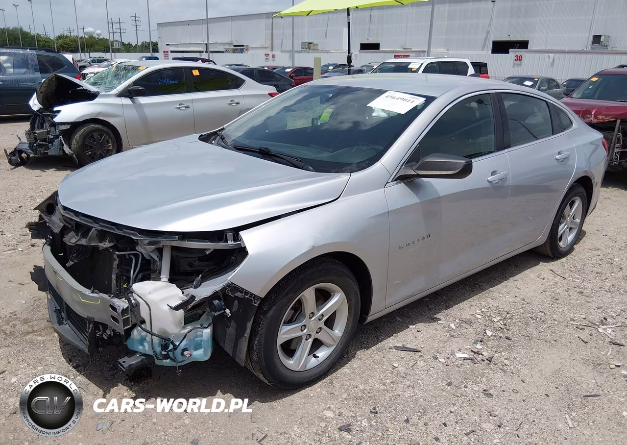 2019 Chevrolet Malibu 1Fl VIN:1G1ZC5ST2KF181629 - 2