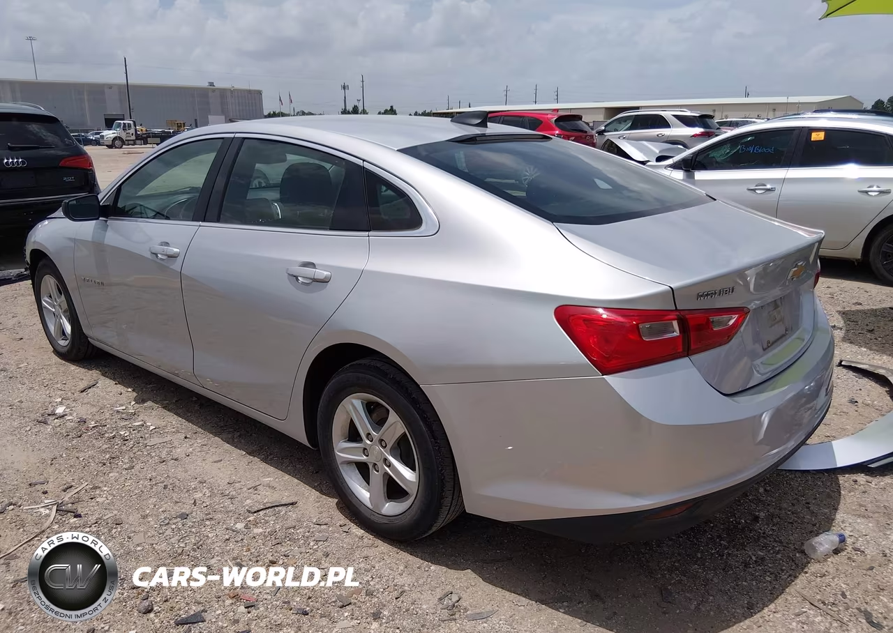 2019 Chevrolet Malibu 1Fl VIN:1G1ZC5ST2KF181629 - 3