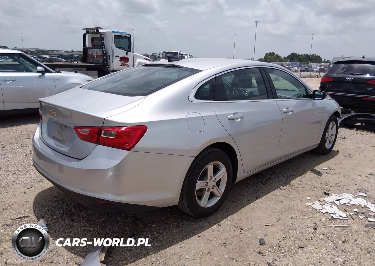 2019 Chevrolet Malibu 1Fl VIN:1G1ZC5ST2KF181629 - 4