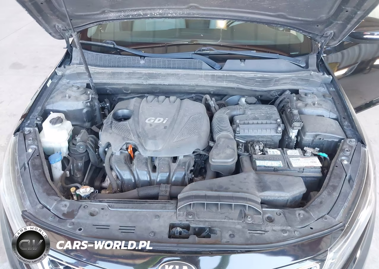2014 Kia Optima Ex VIN:5XXGN4A76EG327348 - 10