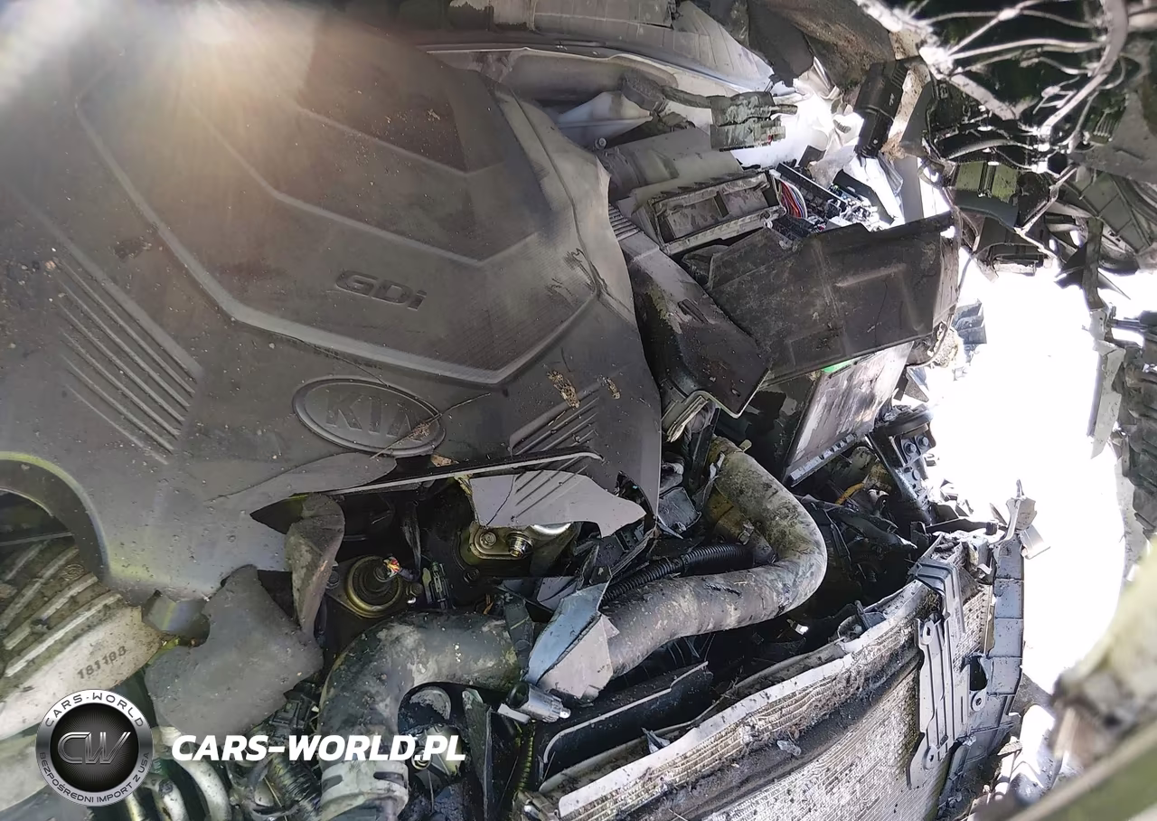 2019 Kia Sorento 3.3L Lx VIN:5XYPG4A57KG572076 - 10