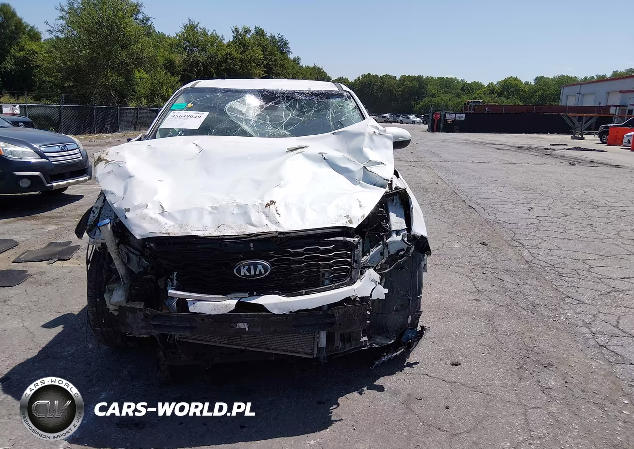 2019 Kia Sorento 3.3L Lx VIN:5XYPG4A57KG572076 - 13
