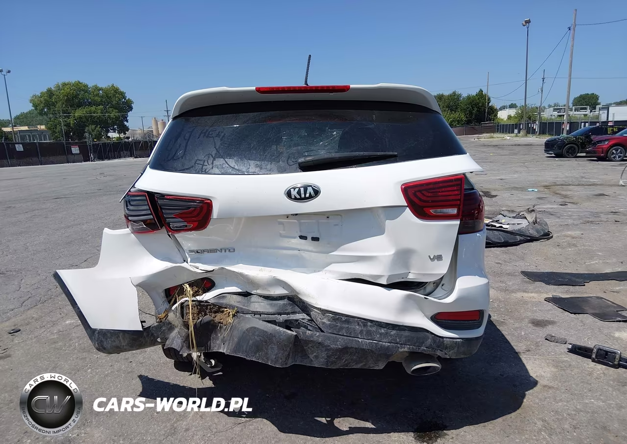 2019 Kia Sorento 3.3L Lx VIN:5XYPG4A57KG572076 - 17