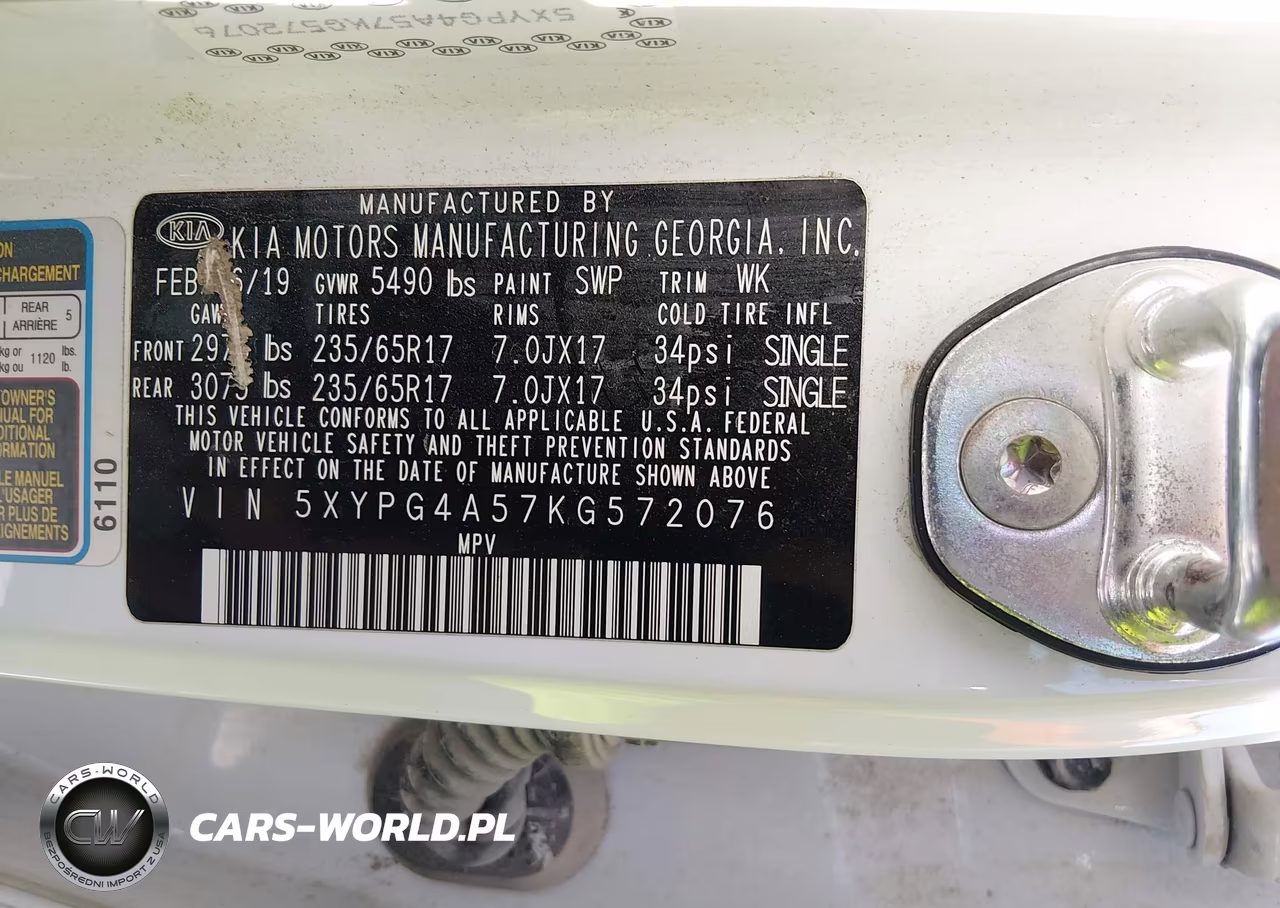 2019 Kia Sorento 3.3L Lx VIN:5XYPG4A57KG572076 - 9