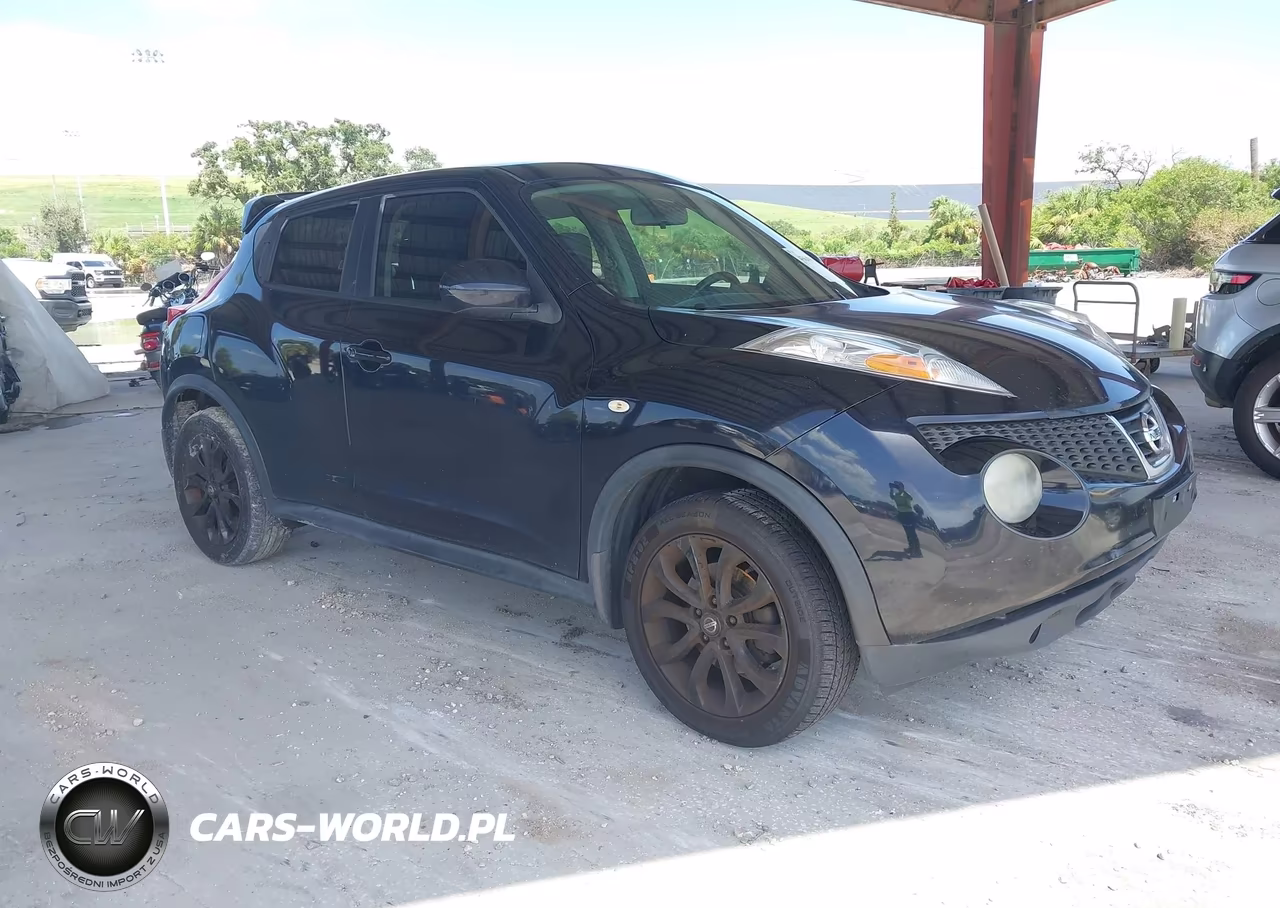 2013 Nissan Juke Sv VIN:JN8AF5MR5DT213320 - 1