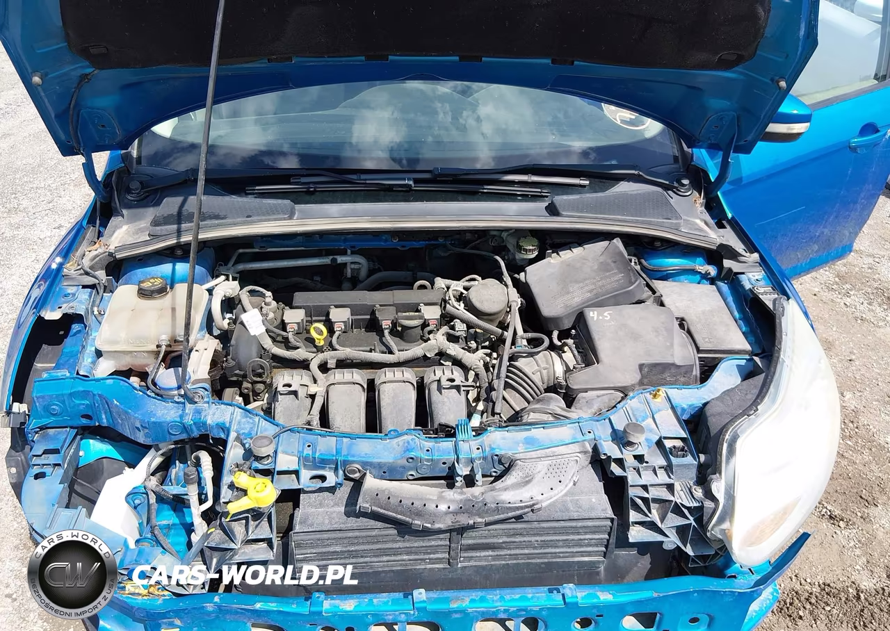 2014 Ford Focus Se VIN:1FADP3F20EL218670 - 10