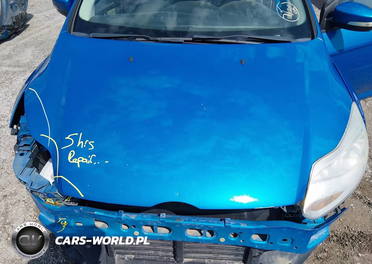 2014 Ford Focus Se VIN:1FADP3F20EL218670 - 16