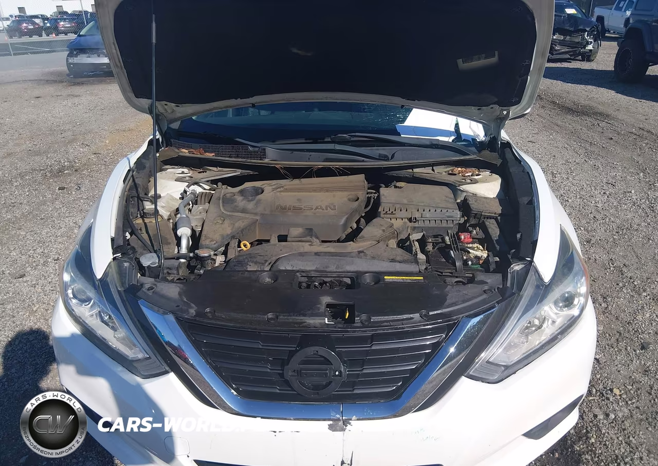 2018 Nissan Altima 2.5 Sl VIN:1N4AL3AP6JC175416 - 10