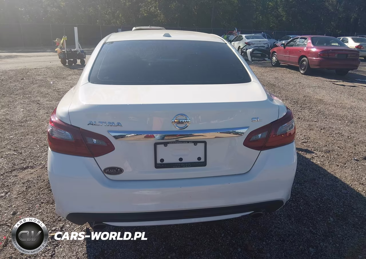 2018 Nissan Altima 2.5 Sl VIN:1N4AL3AP6JC175416 - 16